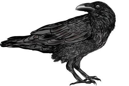 Raven_Snowboard-School_Shutterstock-_k0bovr